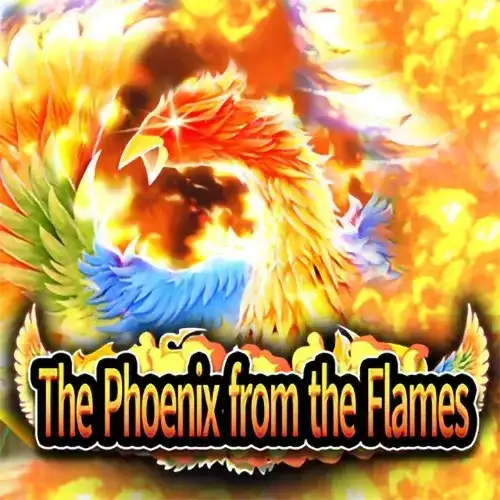 The Phoenix from the Flames | Shooter Category | Asiabola