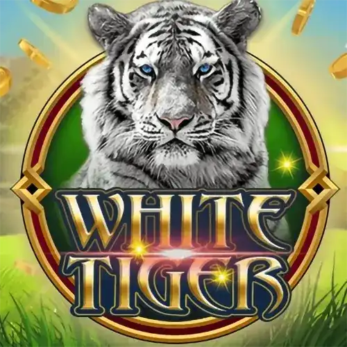 White Tiger | FunkyGames Provider | Asiabola
