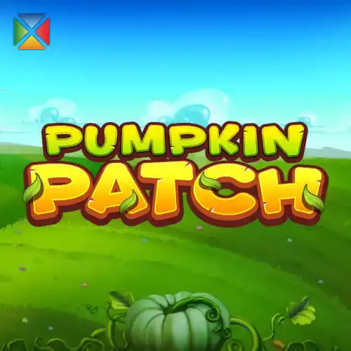 Pumpkin Patch | Habanero Provider | Asiabola