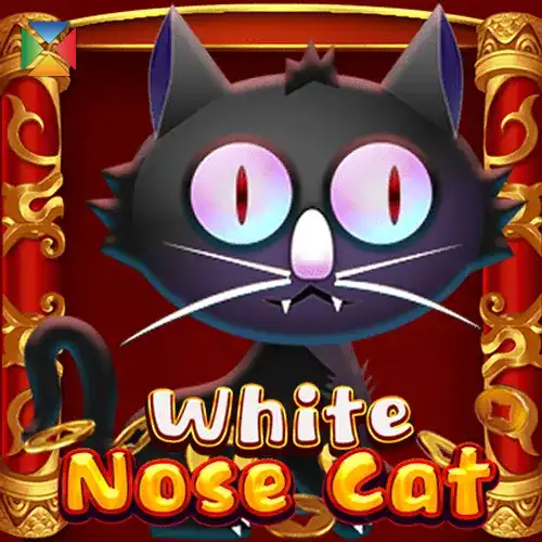 White Nose Cat | KAGaming Provider | Asiabola