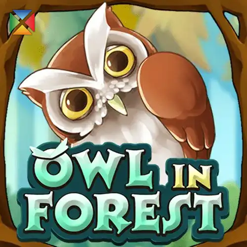 Owl In Forest | KAGaming Provider | Asiabola