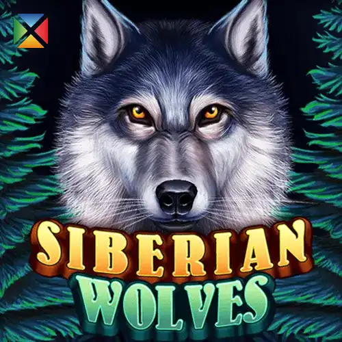Siberian Wolves | KAGaming Provider | Asiabola