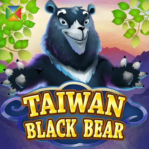 Taiwan Black Bear | KAGaming Provider | Asiabola