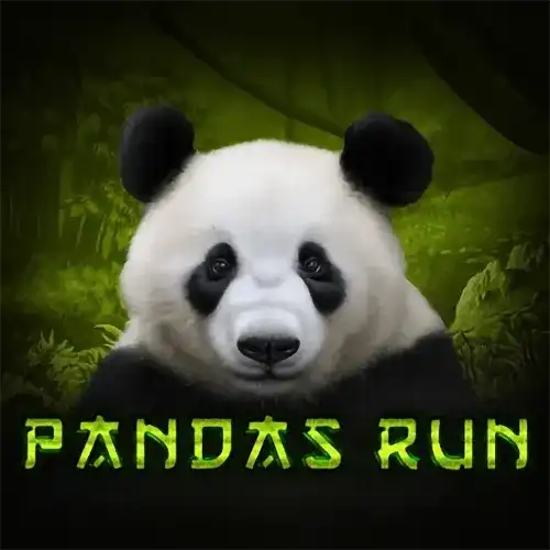 Panda's Run | TomHorn Provider | Asiabola